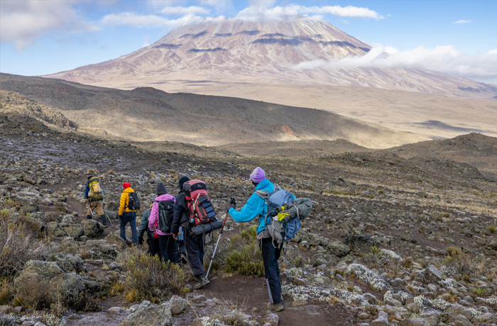 Kilimanjaro